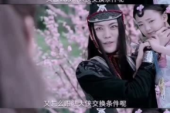 林轩段云溪,传奇邂逅，谱写不朽传奇